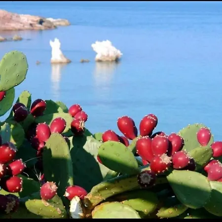 Perla Del Sud